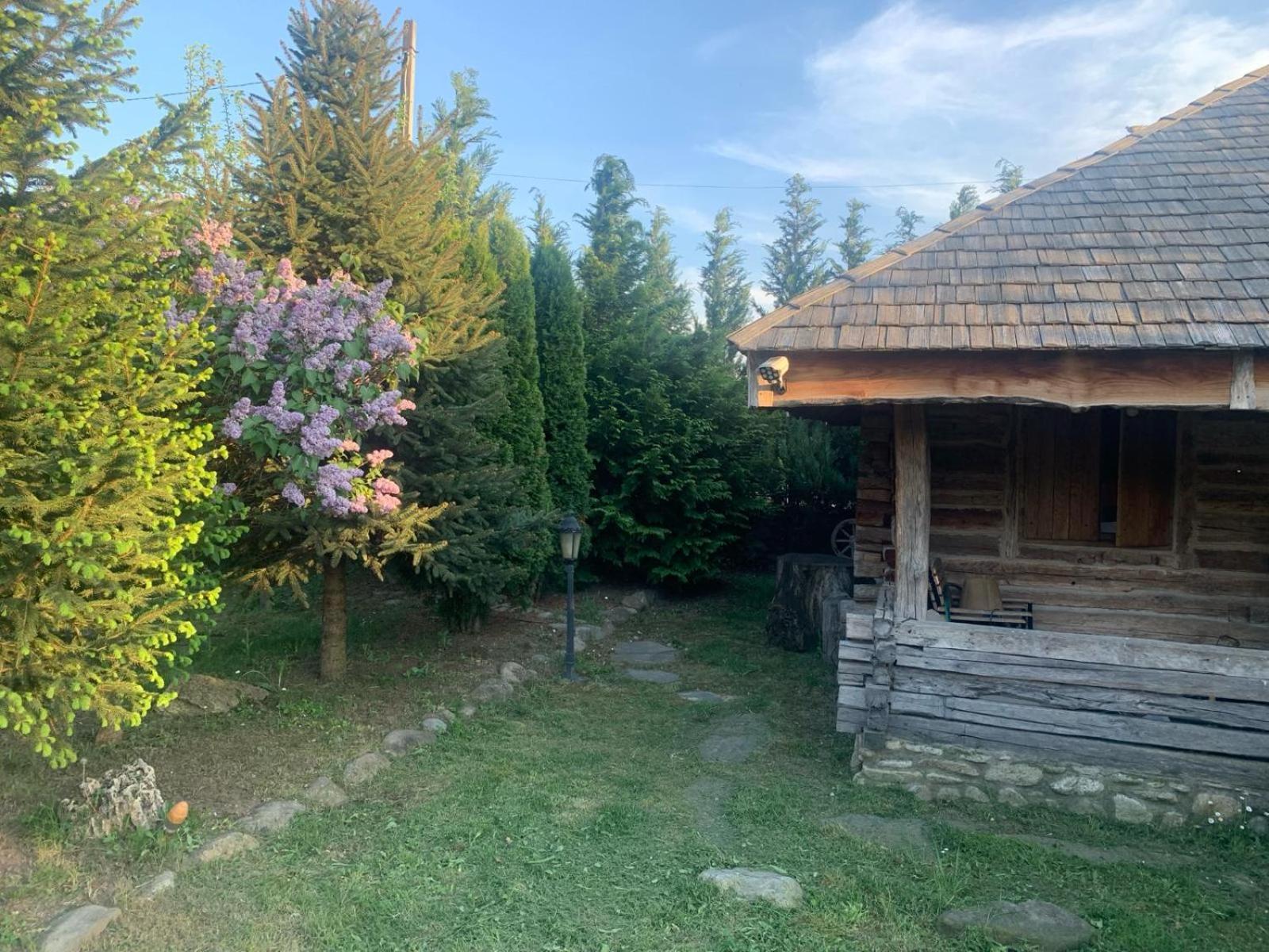 Satul Traditional Рунку Экстерьер фото